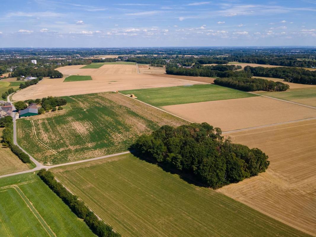 Przekształcenie działki rolnej na budowlaną - kompletny przewodnik