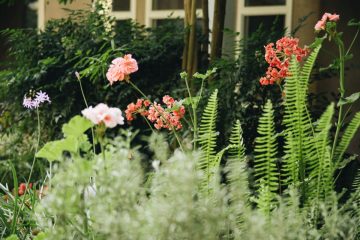 Rośliny wokół tarasu - jak stworzyć efektowną rabatę bylinową?