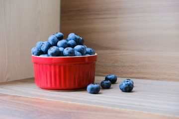 Borówki - czy można je mrozić w domowych warunkach?