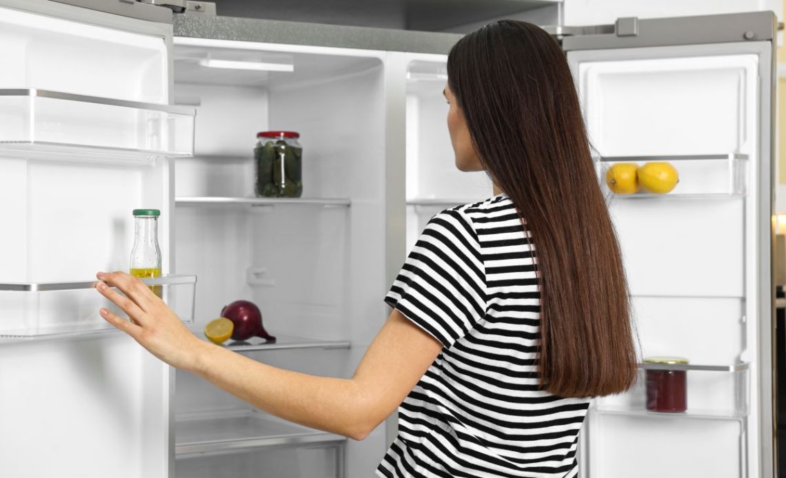 szron w lodówce electrolux