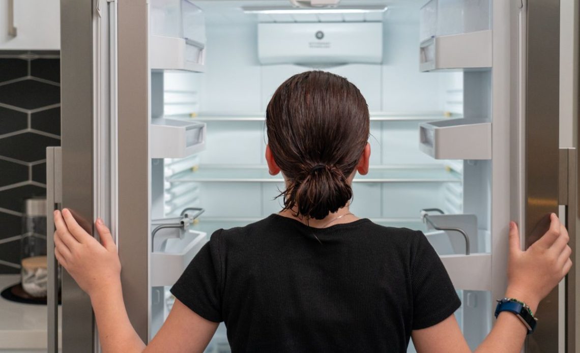 szron w lodówce whirlpool